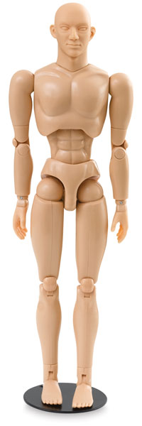 Male Manikin