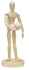 Magnetic Manikin