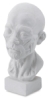 Anatomic Head