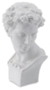 Head of David