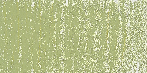 Olive Green 664