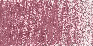 Permanent Rose 251