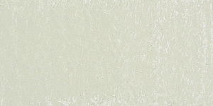 Moss 6