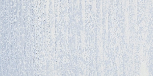 Gray168