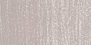 Warm Gray 1