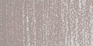 Warm Gray 2