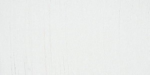 Silver White 1
