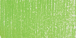 Lizard Green 3