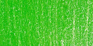 Lizard Green 4