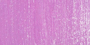 Pansy Violet 3