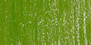 Sap Green 4