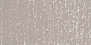 Warm Gray 2