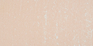 Burnt Sienna 153