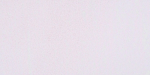 Dusty Rose 243