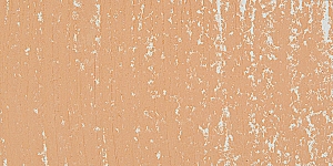 Earth Orange 313