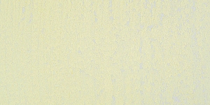 Pale Yellow 553