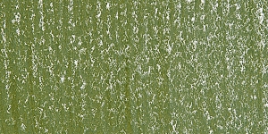 Sunlit Grass 610