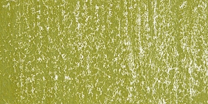 Sunlit Grass 611