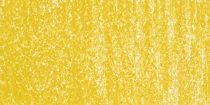 Sunlit Grass 613
