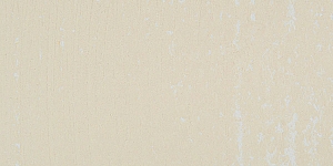 Unbleached Titanium 41