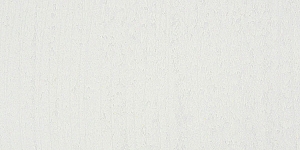 Unbleached Titanium 43