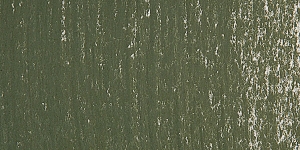 Warm Greenish Gray 170