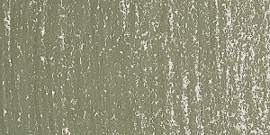 Warm Greenish Gray 171