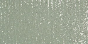 Warm Greenish Gray 172