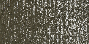 Warm Gray 450