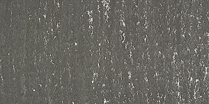 Warm Gray 452