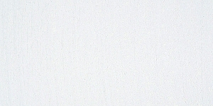 Warm Gray 460