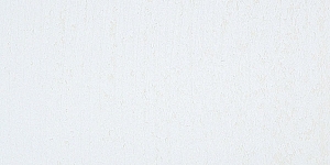 Warm White 4