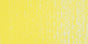 Yellow Purple 561