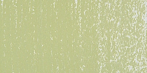 Yellow Purple 564