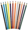 Set of 12