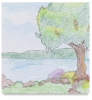 Nature Set