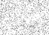 Transfer Sheet, Pattern 26