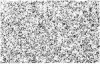 Holbein Maxon Comic Patterns