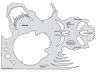 Skull Master The Frontal Template