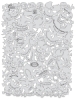 Wrath of Skull Master Bonz II Template