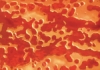 Killer GrungeFX Special Effects Masking Spray, Sample Artwork