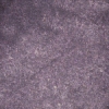 Interference Violet Interference Violet