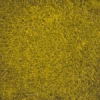 Bright Yellow Bright Yellow