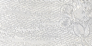 Silver Gray