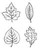Set of 4, Leaf Designs