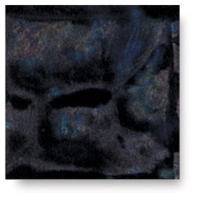 Obsidian, CG-786