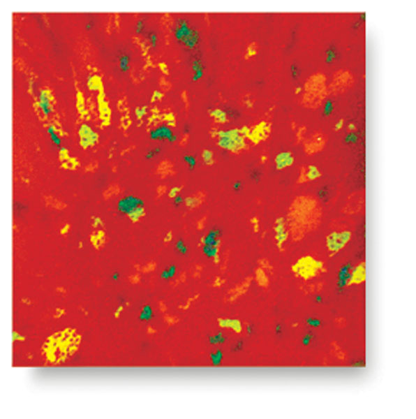 Firecracker, CG-756