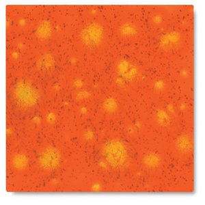 Wildfire, CG-954