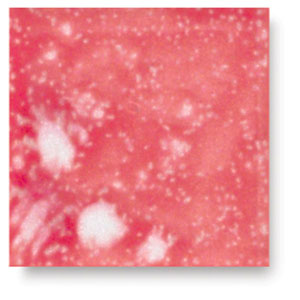 Strawberry Sundae, CG-783