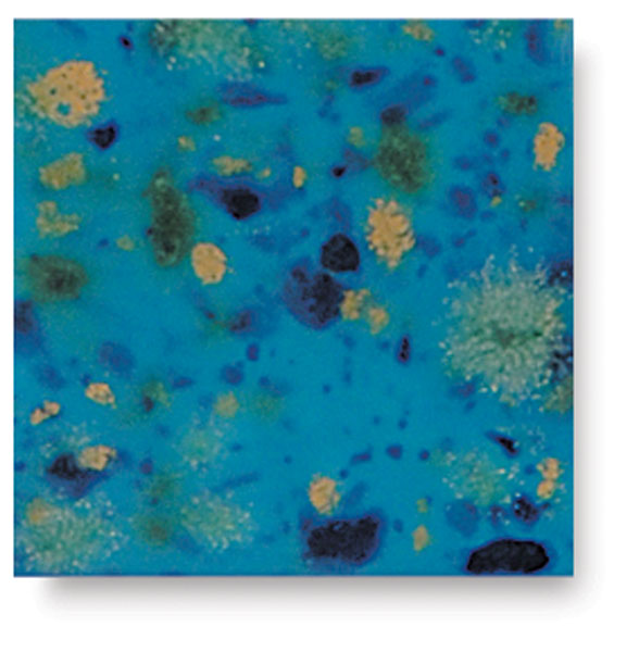 Blue Caprice, CG-718